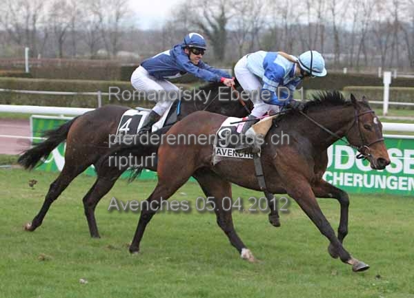 Romanofsky Eberle D 1 prot